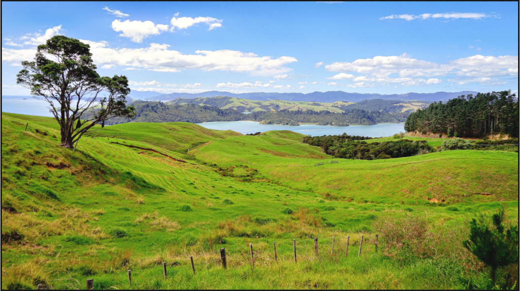 Main image Coromandel Landscape