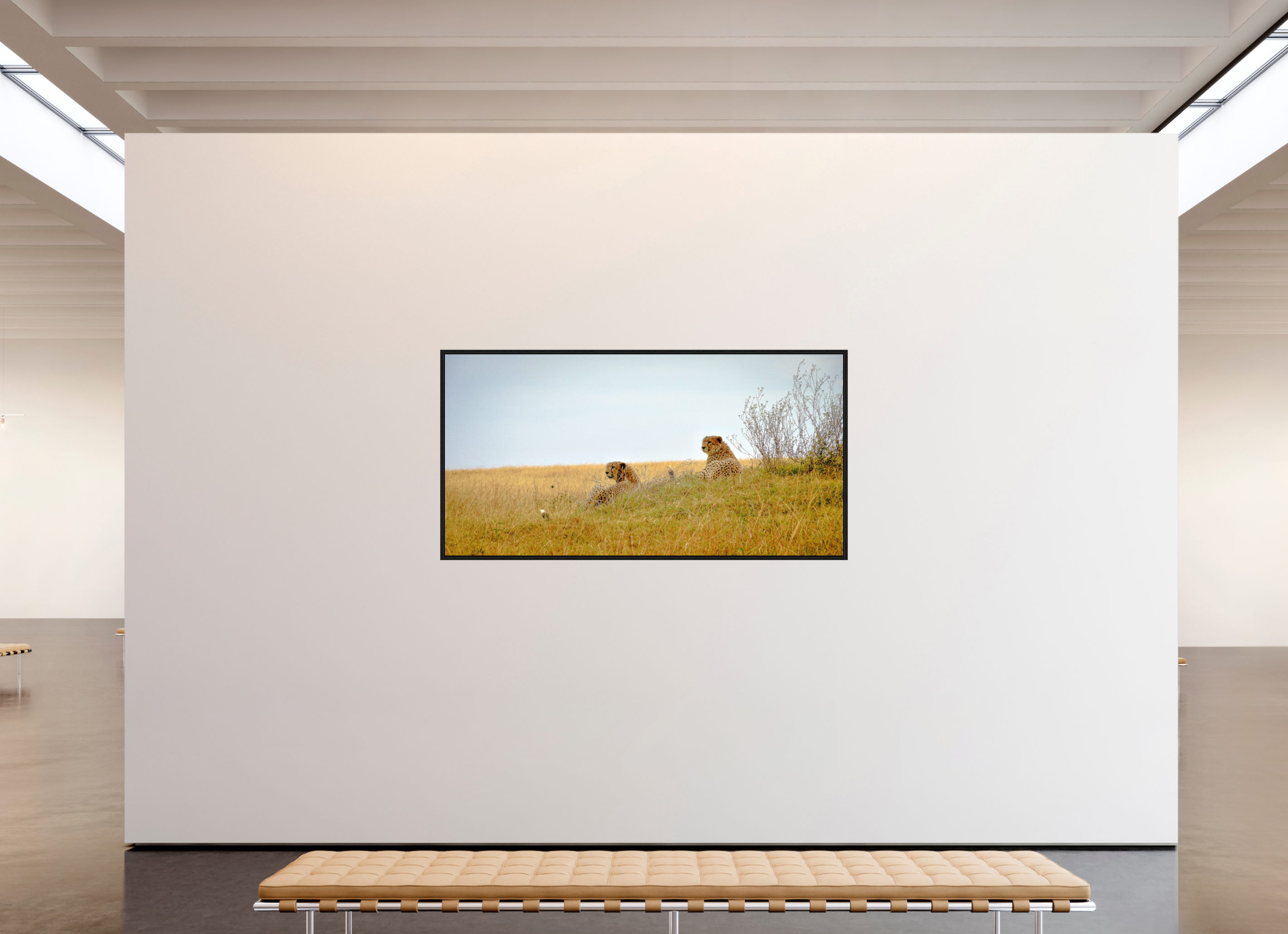 197.8 x 100 cm, Floater Frame Cheetah Connection