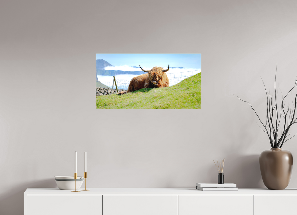 77.2 x 40 cm, Matte Canvas on Stretcher Frame Highland Cow of the Faroe Islands