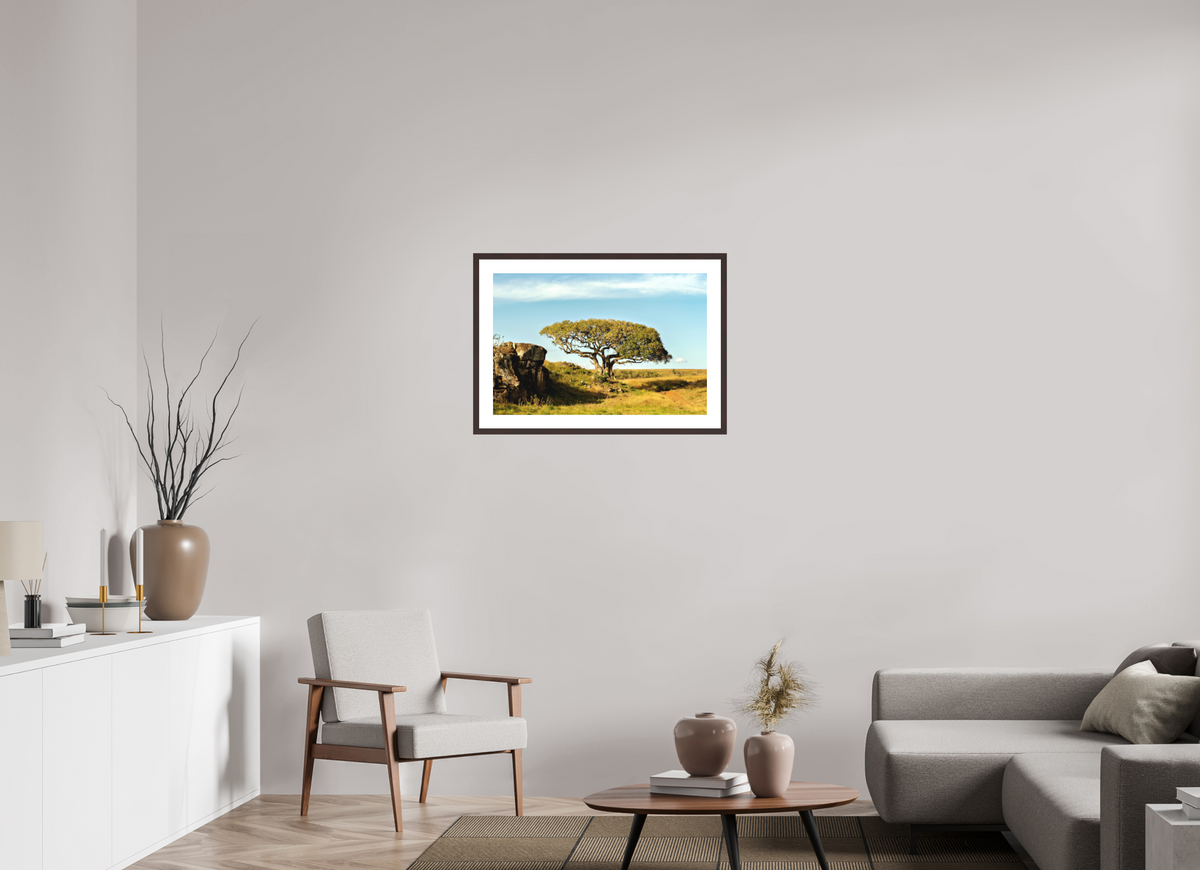 75 x 50 cm, Baryta Prestige II with Matte Float Glass Acacia Tree - Masai Mara NP - Kenya