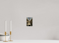 10 x 15 cm, Photo Print On Fuji Crystal DP II Beneath the Glass Vault