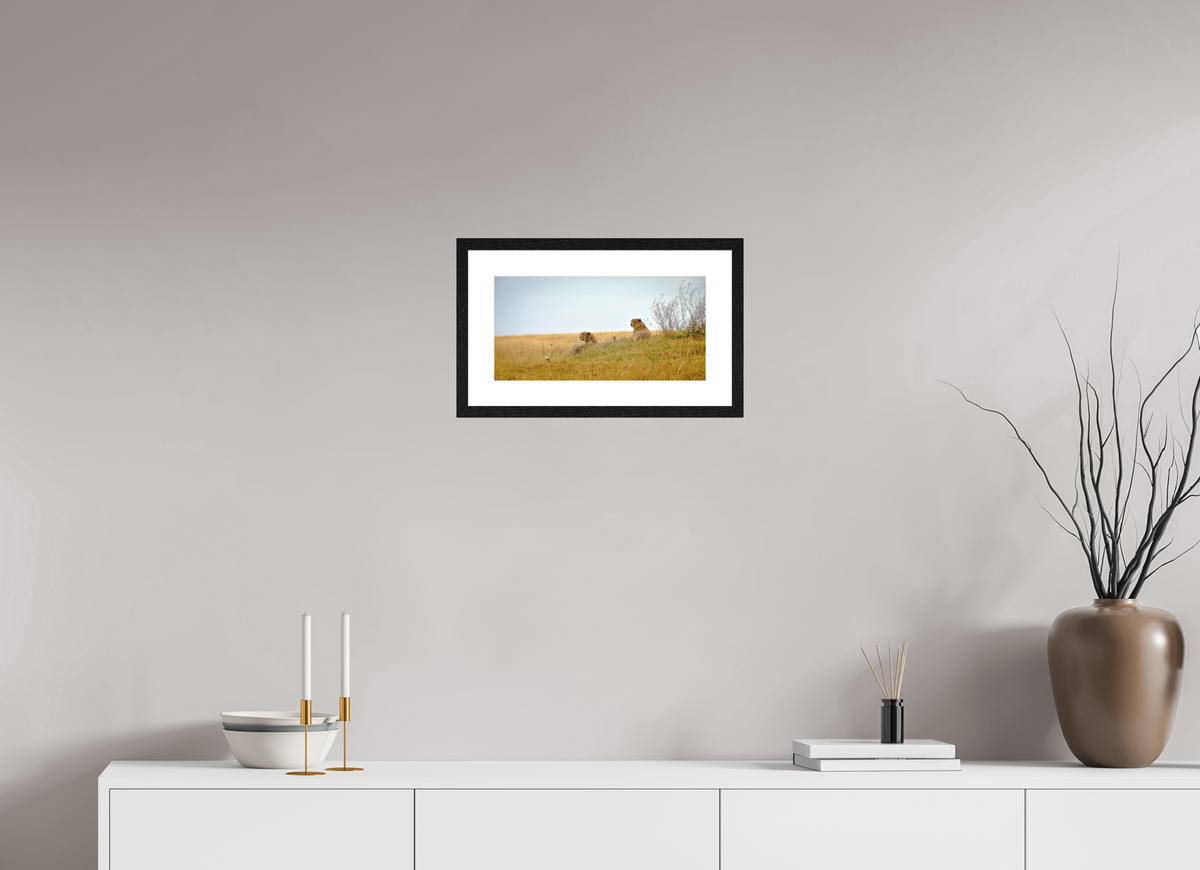 39.6 x 20 cm, Smooth Natural Paper Print with Frame Cheetah Connection