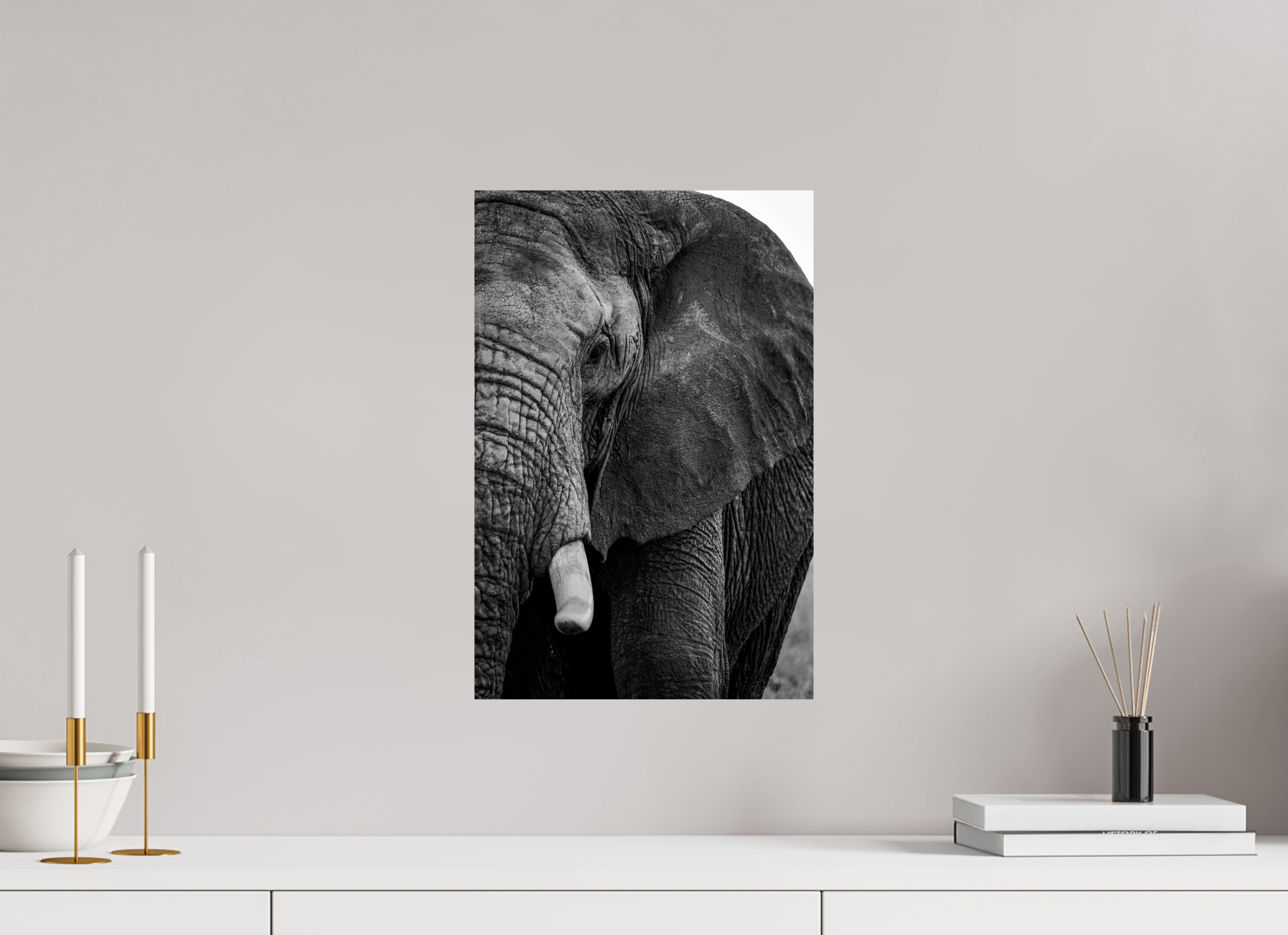 30 x 45 cm, Photo Print on Ilford Baryta Paper B&W The Hidden Side of Elephants