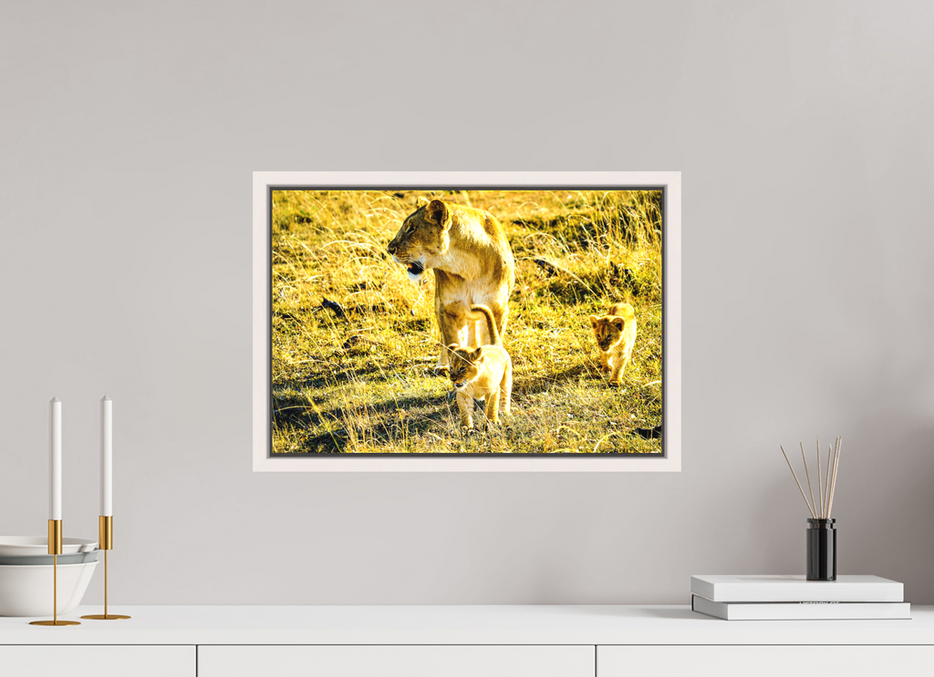 45 x 30 cm, Matte Canvas 15 mm Frame Savanna Legacy
