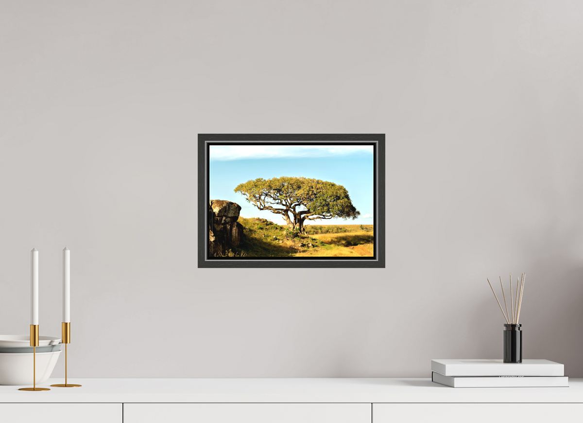 30 x 20 cm, Textile Print Canvas with 15 mm Width Gap Frame Acacia Tree - Masai Mara NP - Kenya