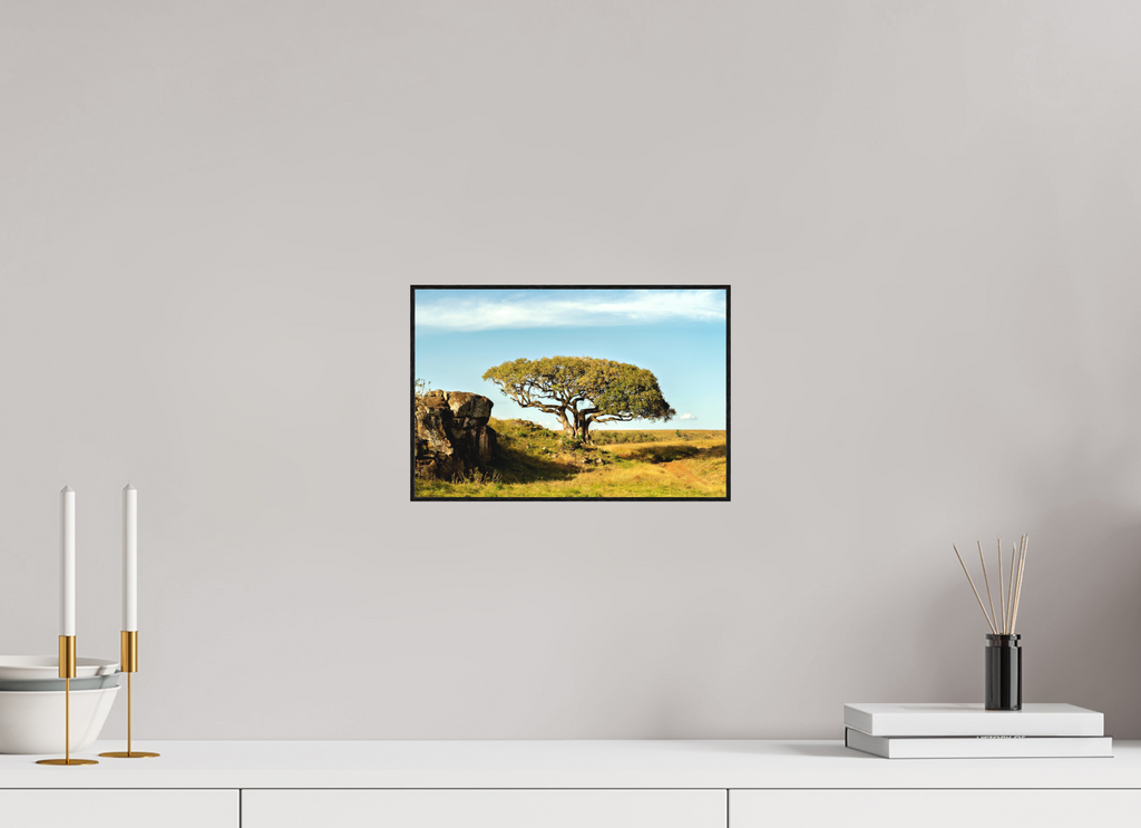 30 x 20 cm, Solid Wood Artbox Her Majesty Tree