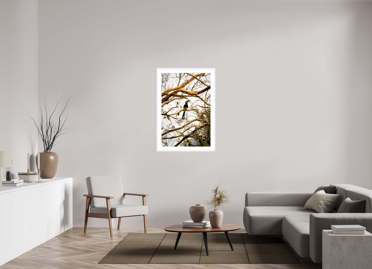70 x 105 cm, Fine Art Print with Frame Hornbill at Rest