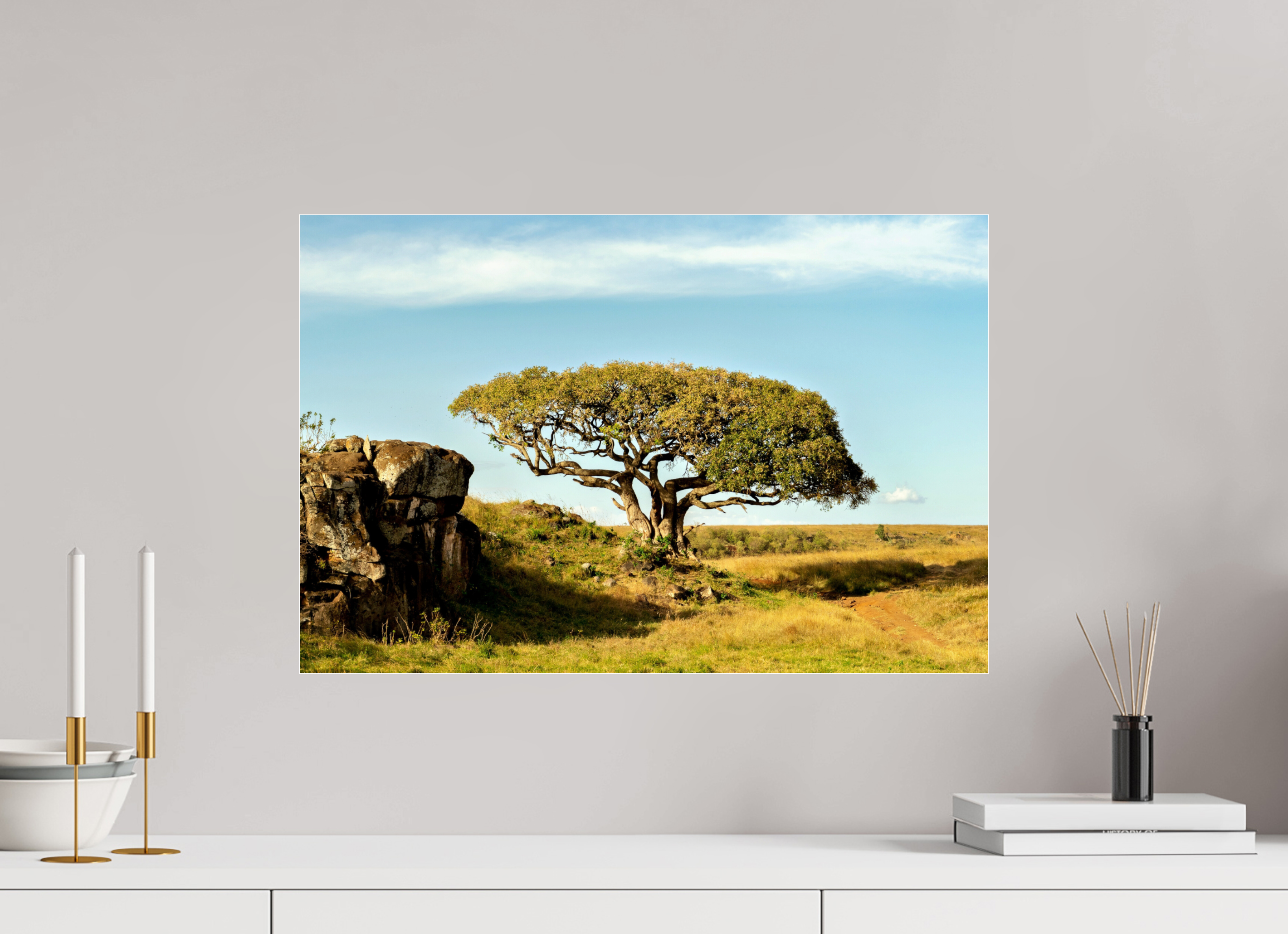 60 x 40 cm, Photo Print Under Acrylic Glass Her Majesty Tree