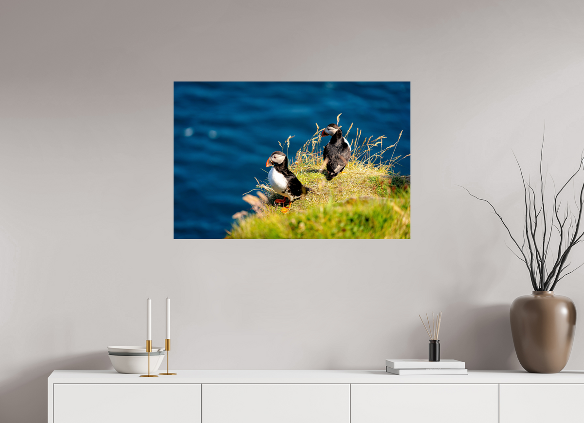 90 x 60 cm, Photo Print On Fuji Crystal DP II Clifftop Puffins