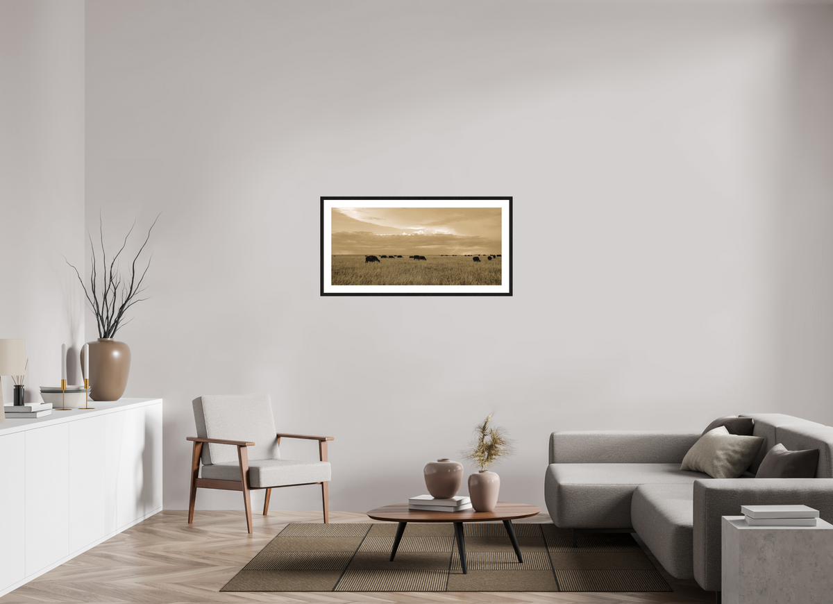 108.2 x 50 cm, Smooth Natural Paper Print with Frame Grazing Herd of African Buffalo, Masai Mara, Kenya