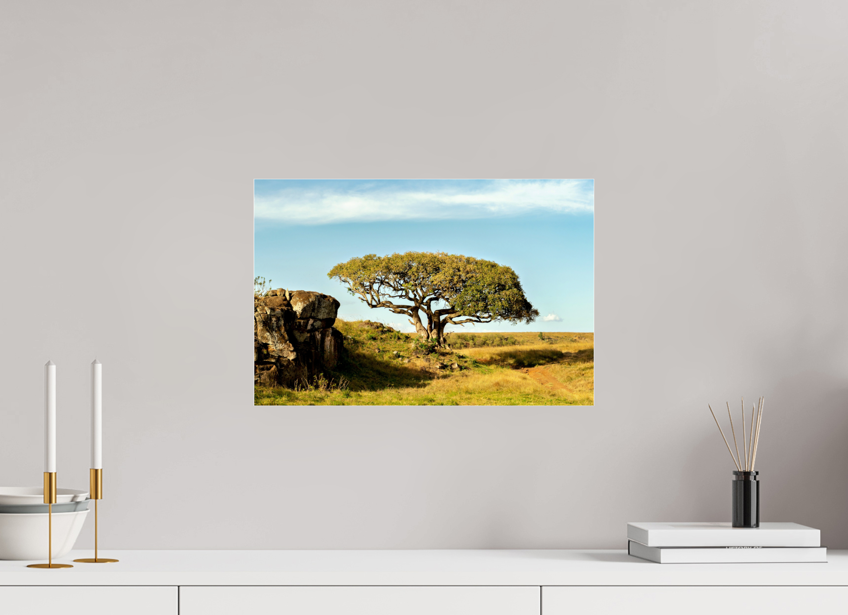45 x 30 cm, Photo Print Under Acrylic Glass Her Majesty Tree