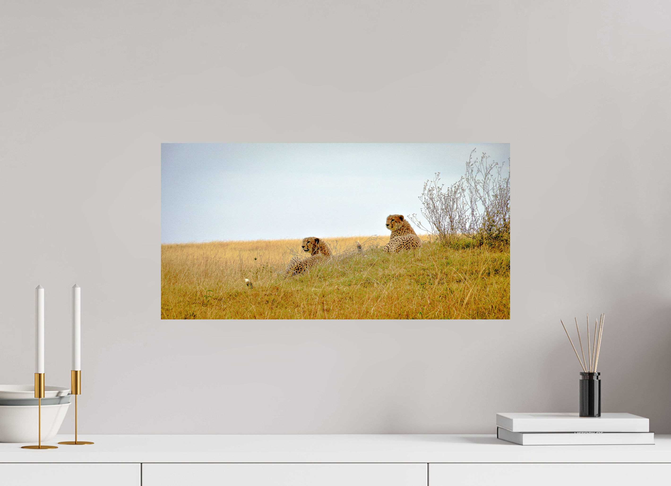 59.3 x 30 cm, Photo Print On Fuji Crystal DP II Cheetah Connection