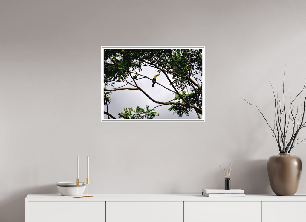 70.6 x 50 cm, Print on Forex with Frame A Hornbill on a Branch