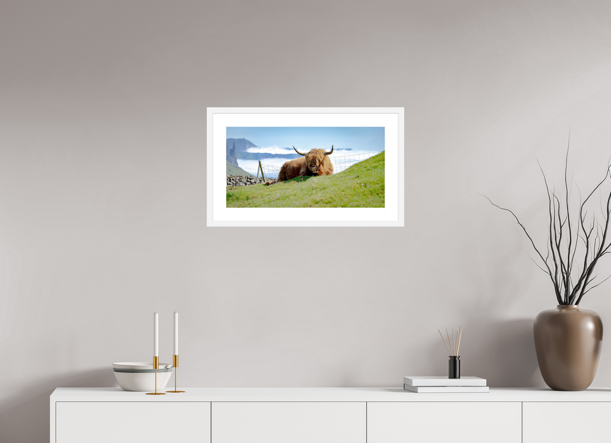 57.9 x 30 cm, Fine Art Print with Frame Highland Cow of the Faroe Islands