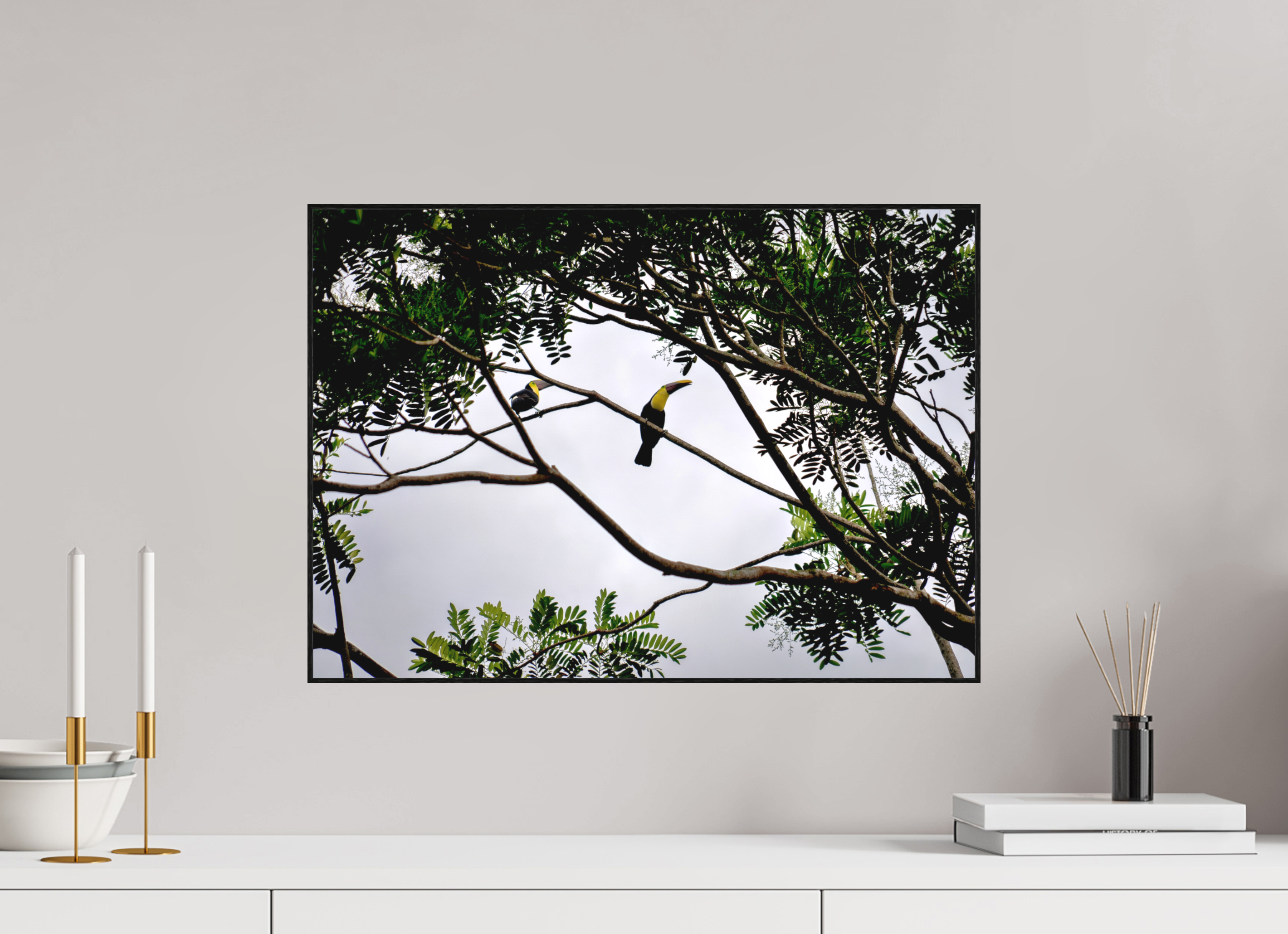 56.5 x 40 cm, Solid Wood Artbox A Hornbill on a Branch