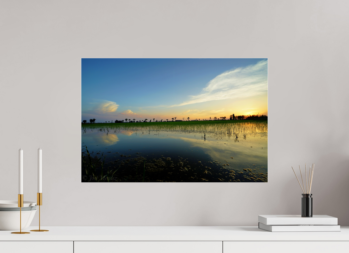60 x 40 cm, Photo Print Under Acrylic Glass Rice Fields at Dusk