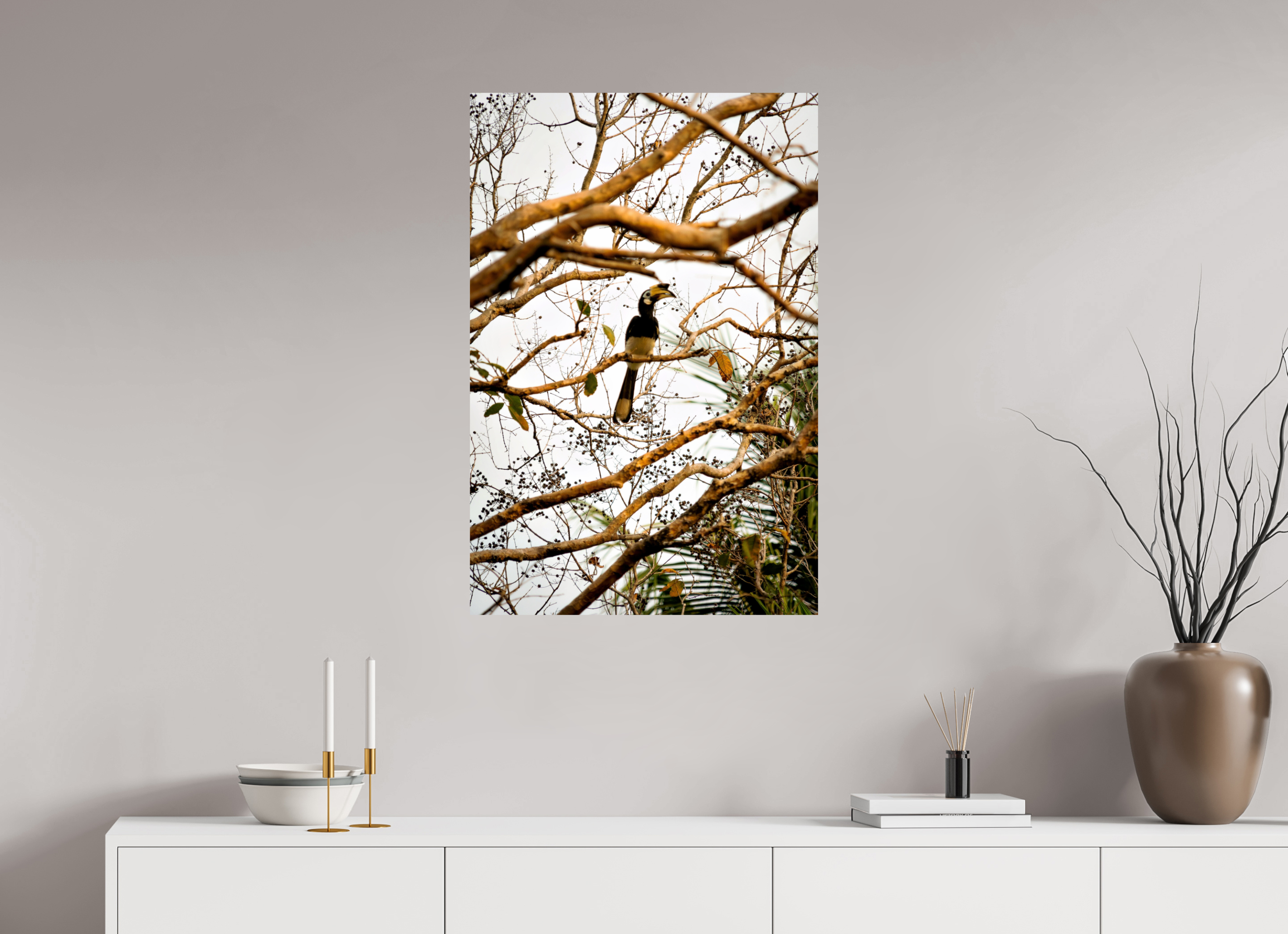 60 x 90 cm, PH Print On Fujiflex High Gloss Hornbill at Rest