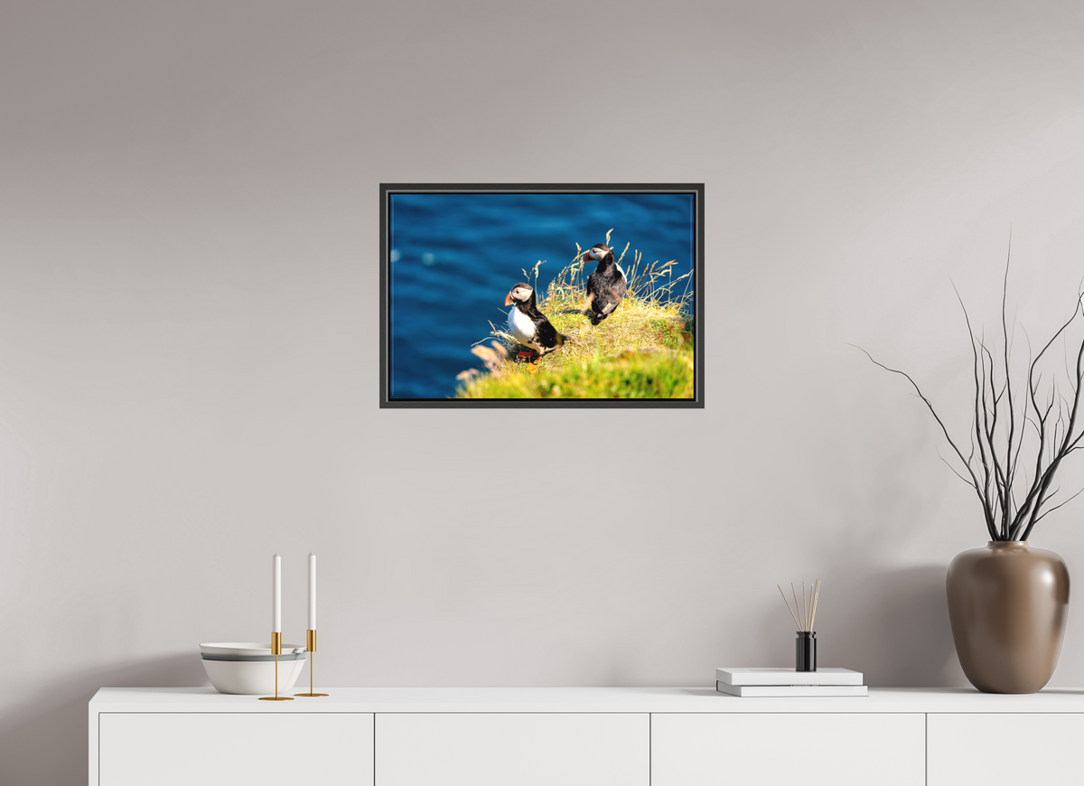 60 x 40 cm, Matte Canvas on 20 mm Stretcher Frame Clifftop Puffins
