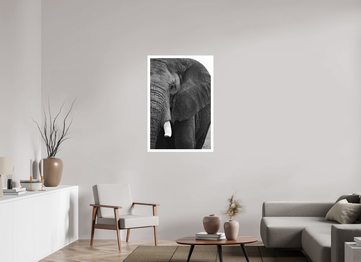 70 x 105 cm, Acrylic Glass Ilford The Hidden Side of the Elephant