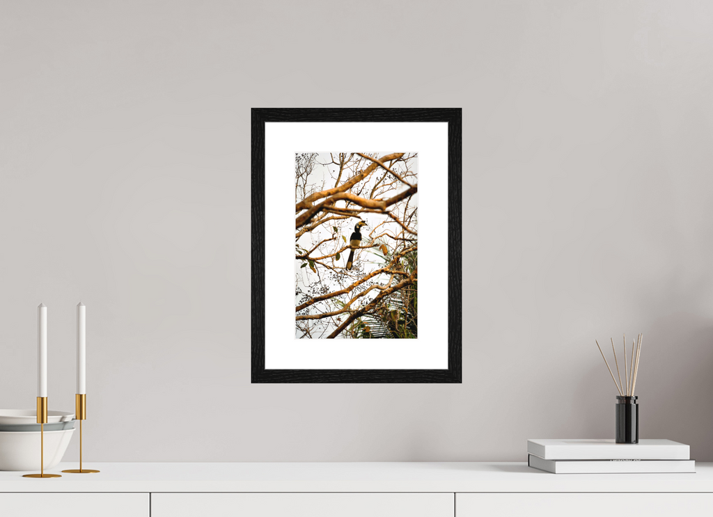 20 x 30 cm, Smooth Natural Paper Print with Frame Hornbill at Rest