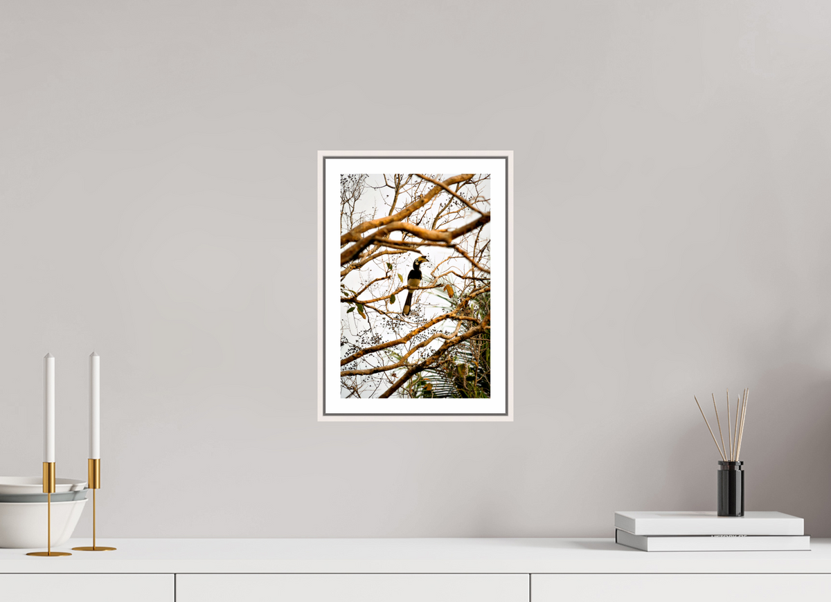 20 x 30 cm, Fine Art Print On Framed Aluminum Dibond Hornbill at Rest