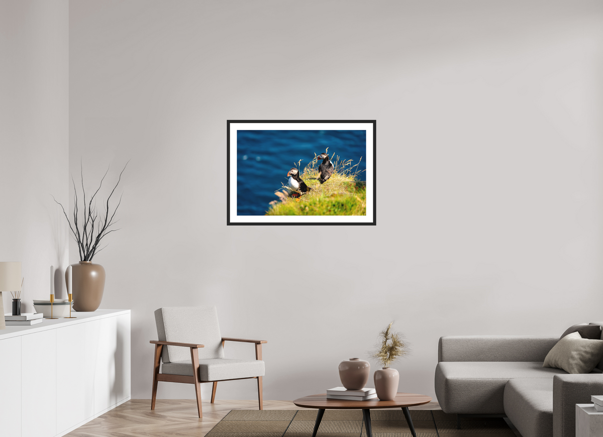 90 x 60 cm, Photo Print On Fuji Crystal DP II Matte Clifftop Puffins