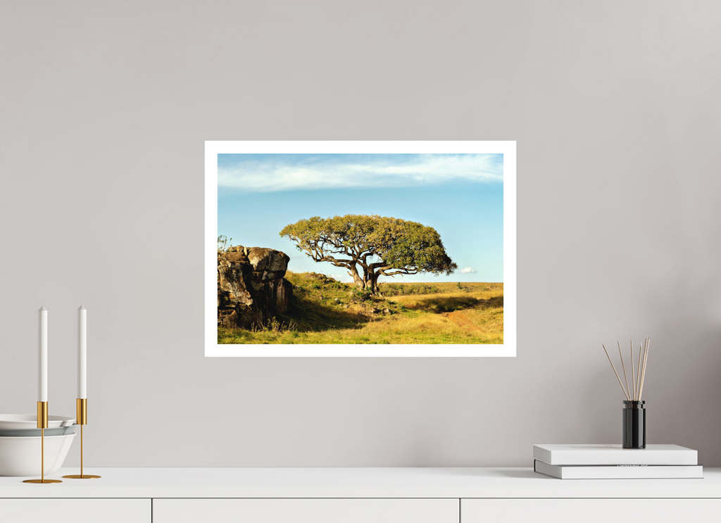 45 x 30 cm, Print on Forex with Mounting Acacia Tree - Masai Mara NP - Kenya