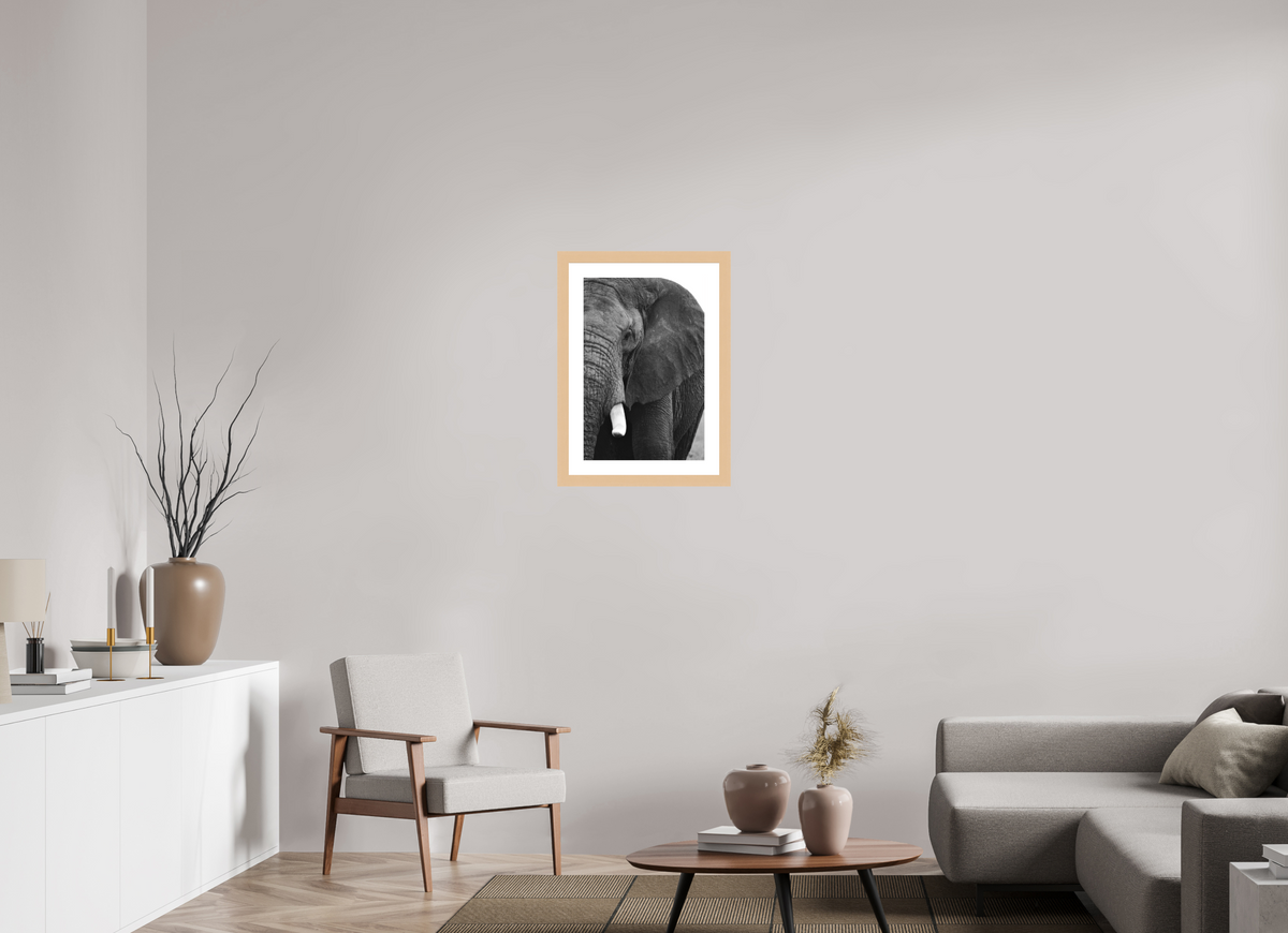 40 x 60 cm, Hamburg 40 mm with Frame The Hidden Side of the Elephant
