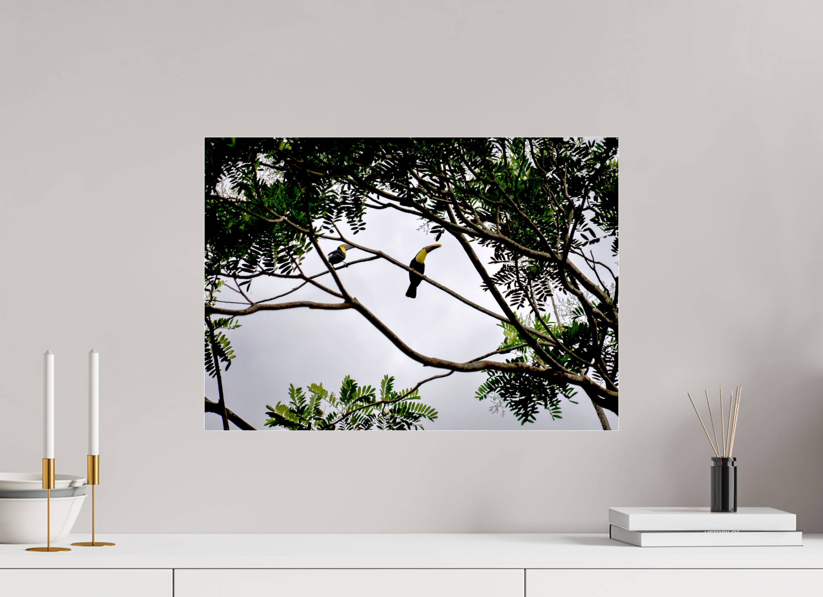 56.5 x 40 cm, Photo Print Under Acrylic Glass A Hornbill on a Branch