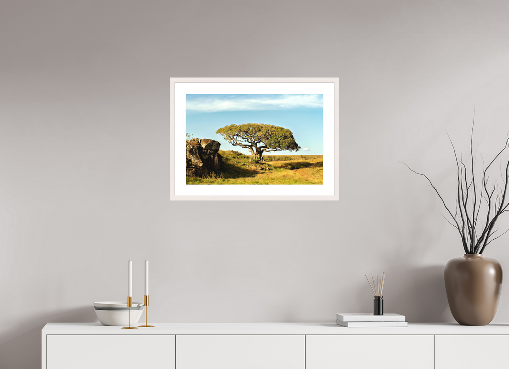 60 x 40 cm, Solid Wood Frame with Passe Partout Acacia Tree - Masai Mara NP - Kenya