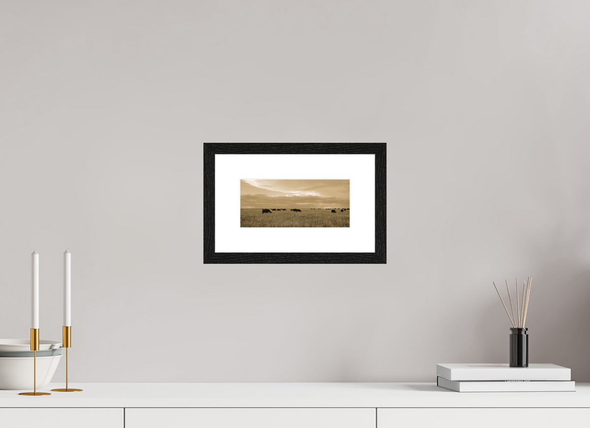 21.6 x 10 cm, Smooth Natural Paper Print with Frame Grazing Herd of African Buffalo, Masai Mara, Kenya