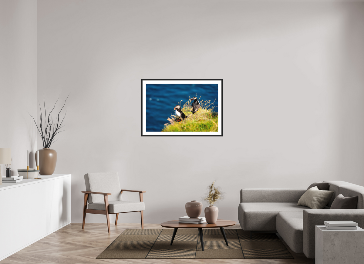 105 x 70 cm, Photo Print On Fuji Crystal DP II Matte Clifftop Puffins