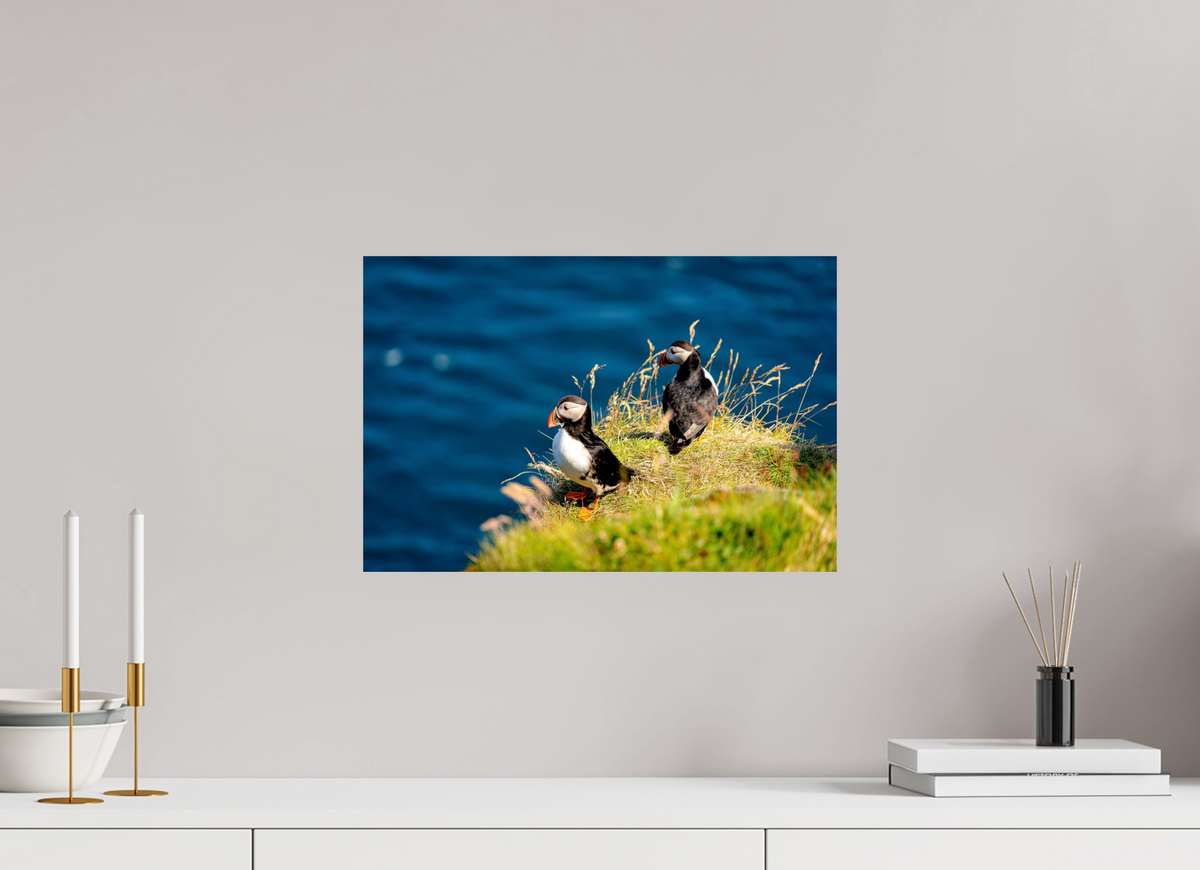 45 x 30 cm, Photo Print On Fuji Crystal DP II Clifftop Puffins