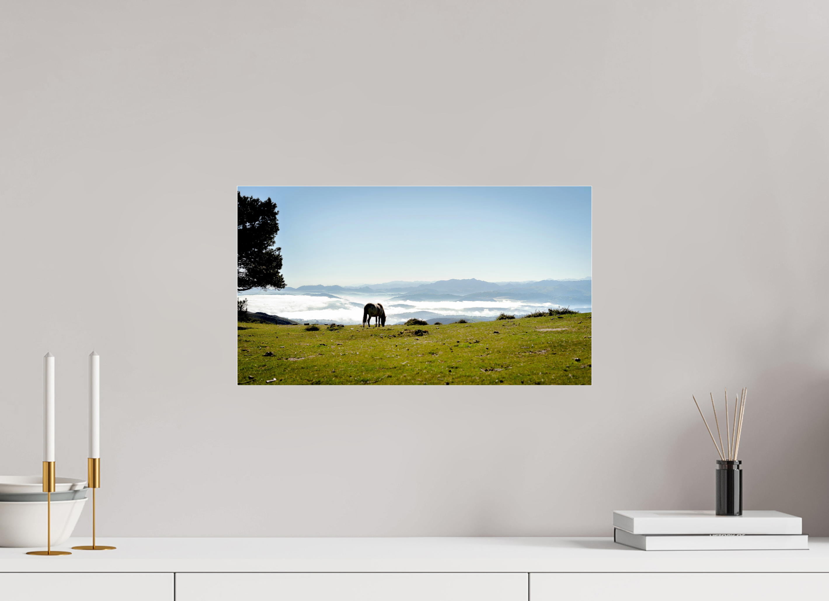 48 x 27 cm, Photo Print Under Acrylic Glass A Horse with a View