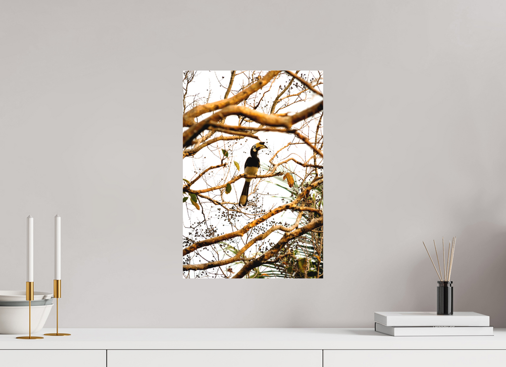 30 x 45 cm, Matte Canvas on Stretcher Frame Hornbill at Rest