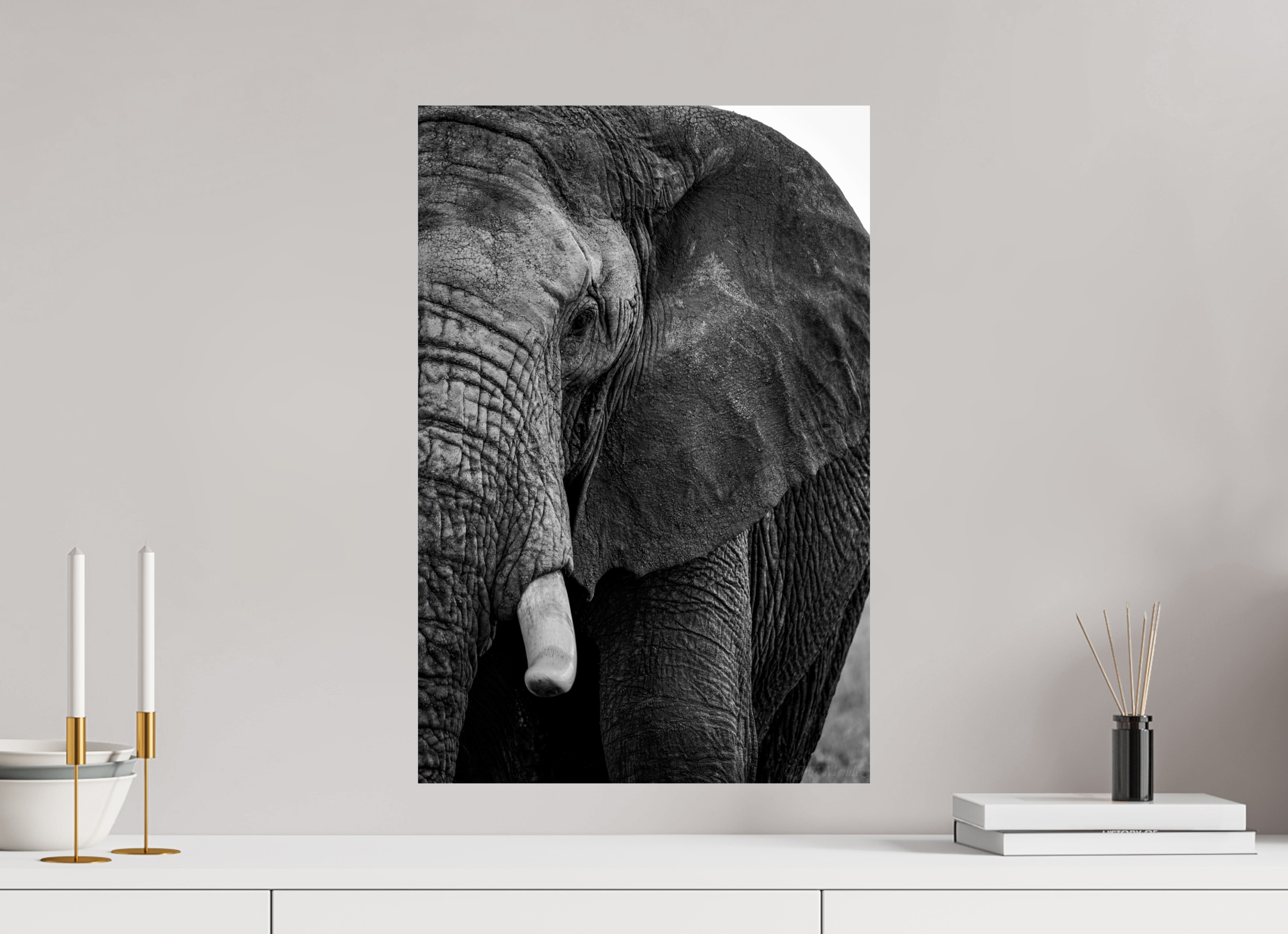 40 x 60 cm, Photo Print on Ilford Baryta Paper B&W The Hidden Side of Elephants