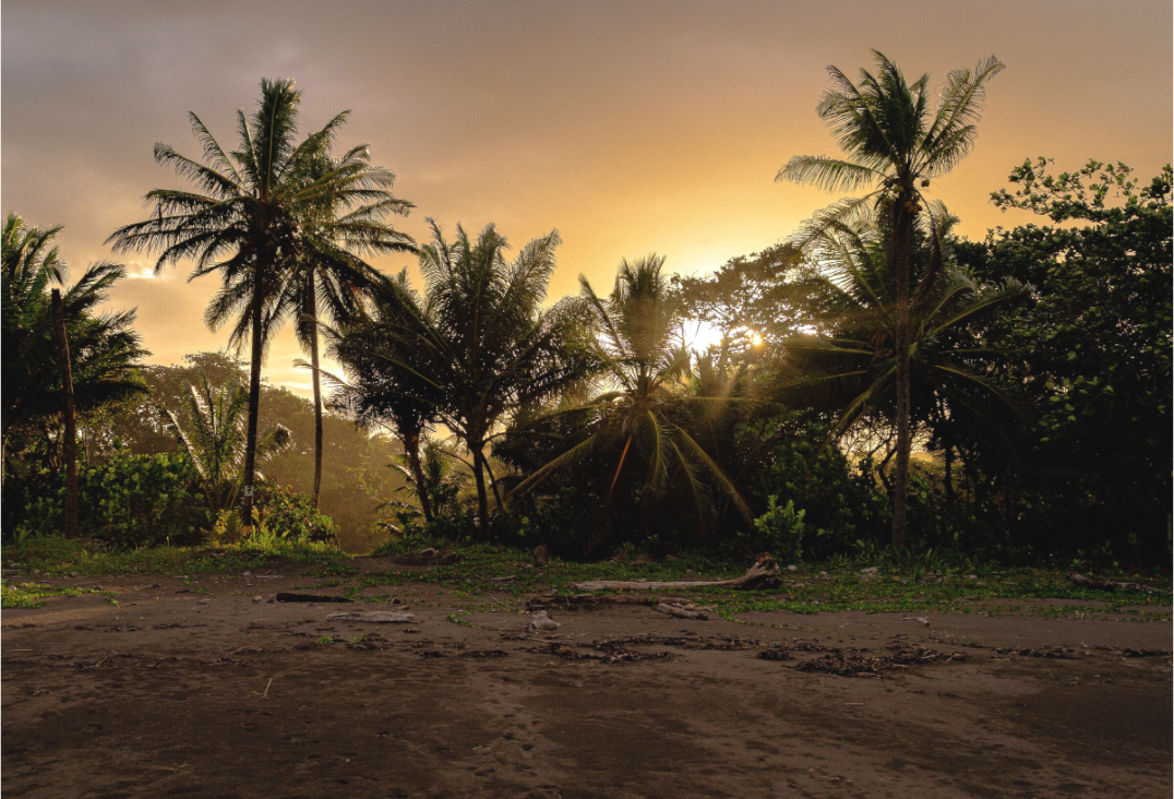 Main image Sunlit Shores