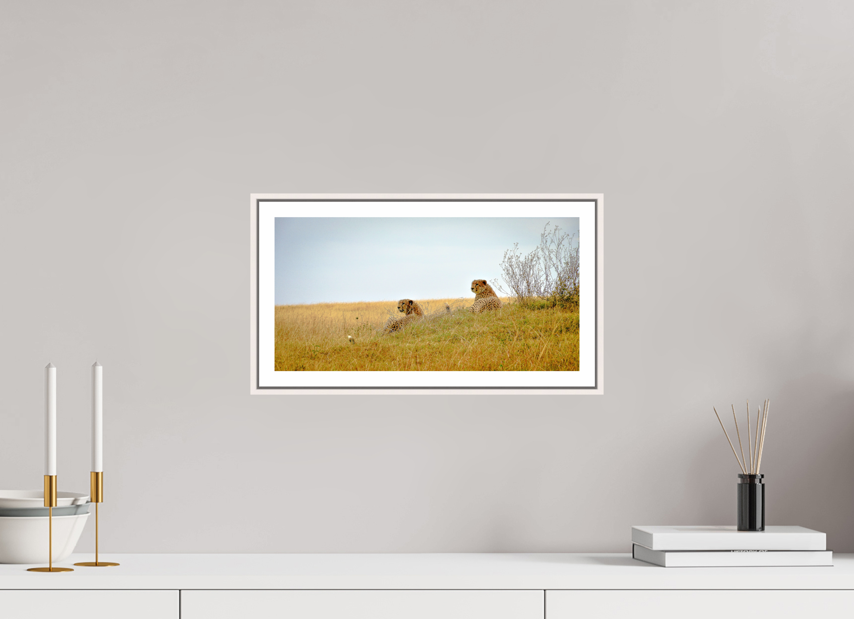 39.6 x 20 cm, Fine Art Print On Framed Aluminum Dibond Cheetah Connection