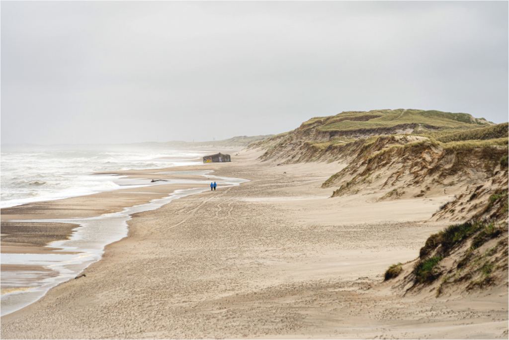 Main image Wild Shores