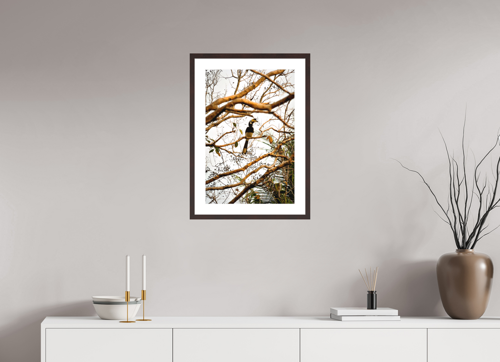 40 x 60 cm, Baryta Prestige II with Matte Float Glass Hornbill at Rest