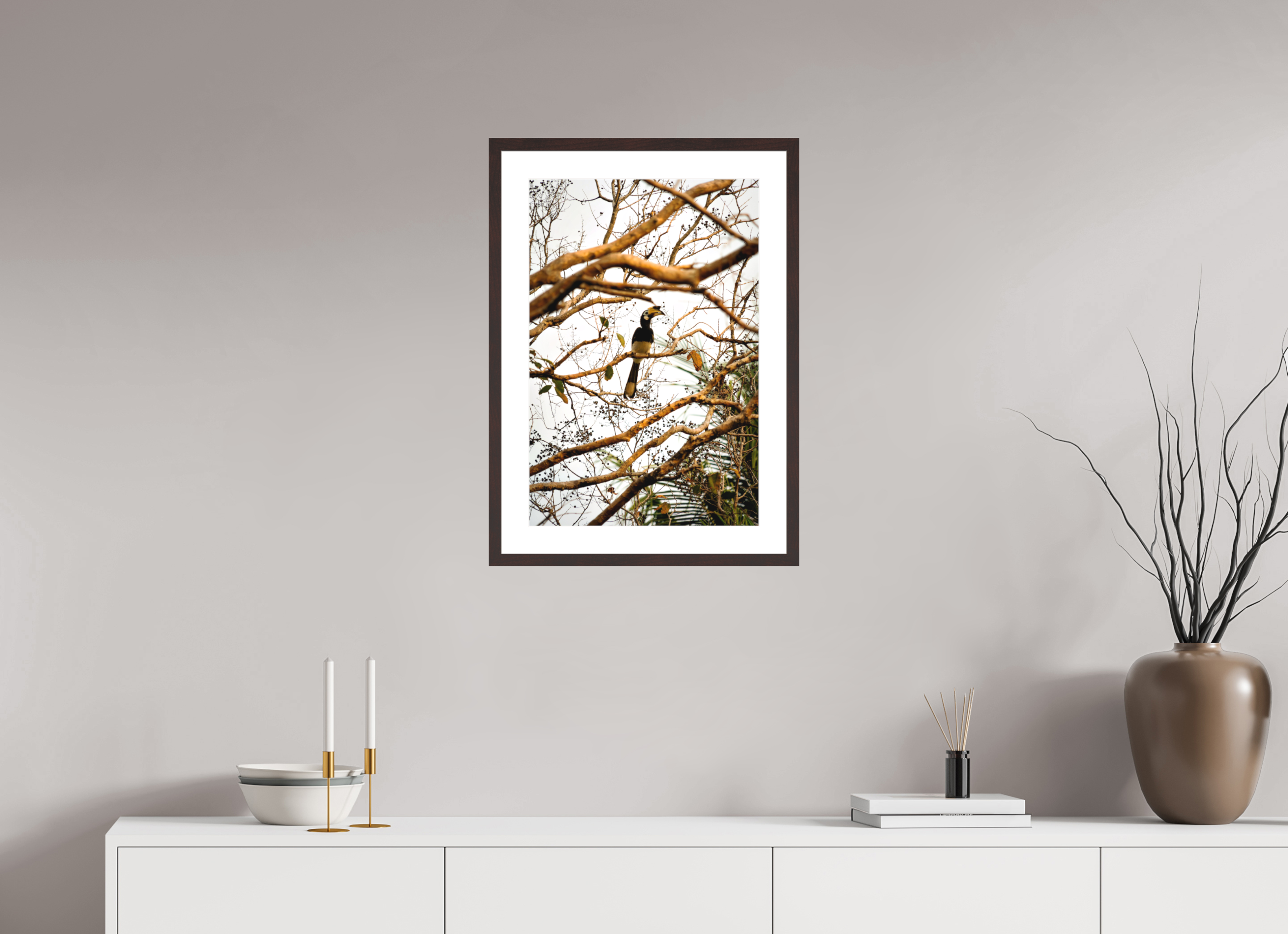 40 x 60 cm, Baryta Prestige II with Matte Float Glass Hornbill at Rest