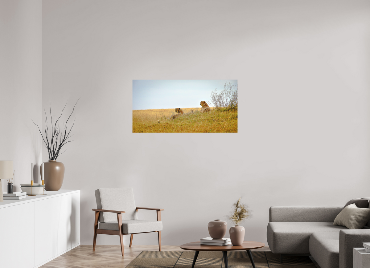 118.7 x 60 cm, Fine Art Print Smooth Cheetah Connection
