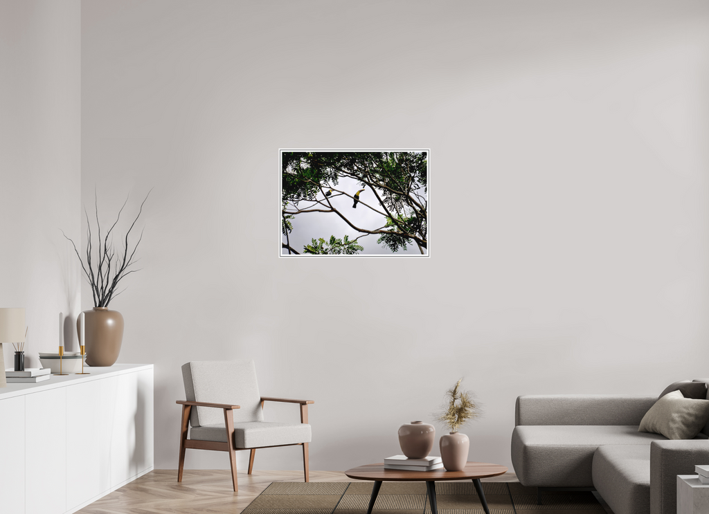84.7 x 60 cm, Print on Forex with Frame A Hornbill on a Branch