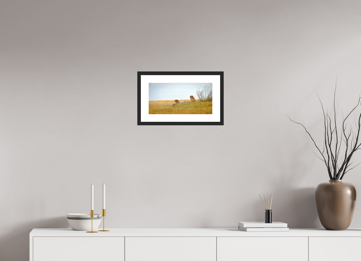 39.6 x 20 cm, Photo Print On Fuji Crystal DP II Matte Cheetah Connection