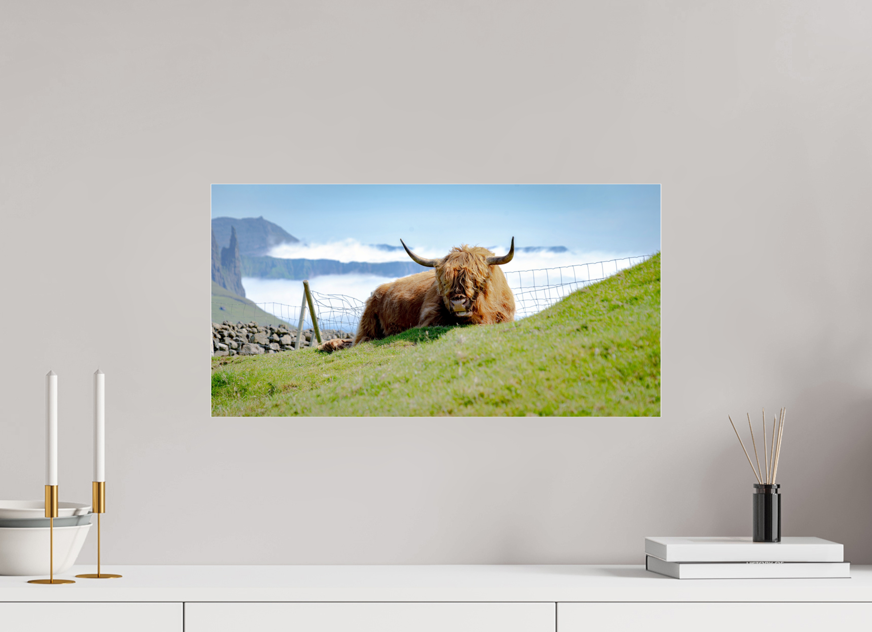 57.9 x 30 cm, Photo Print Under Acrylic Glass Highland Cow of the Faroe Islands