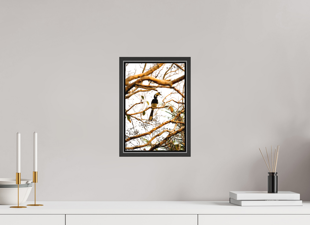 20 x 30 cm, Textile Print Canvas with 15 mm Width Gap Frame Hornbill at Rest