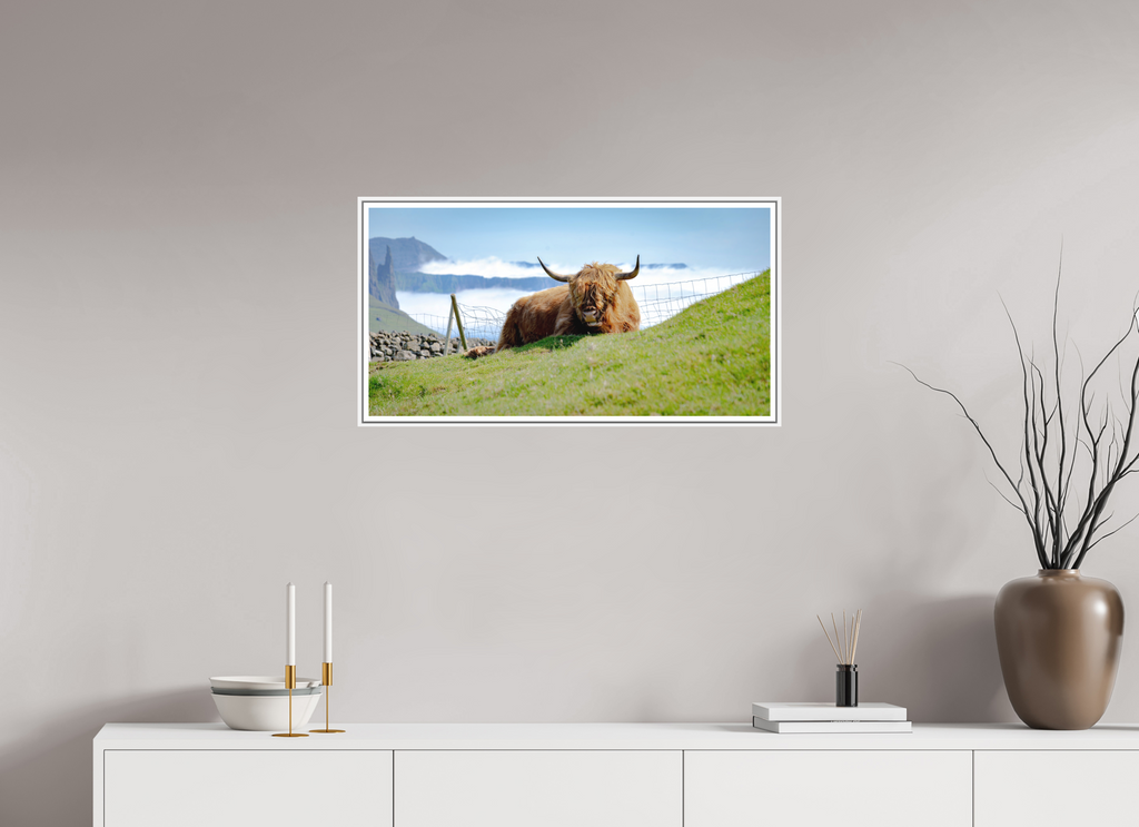 77.2 x 40 cm, Print on Forex with Frame Highland Cow of the Faroe Islands