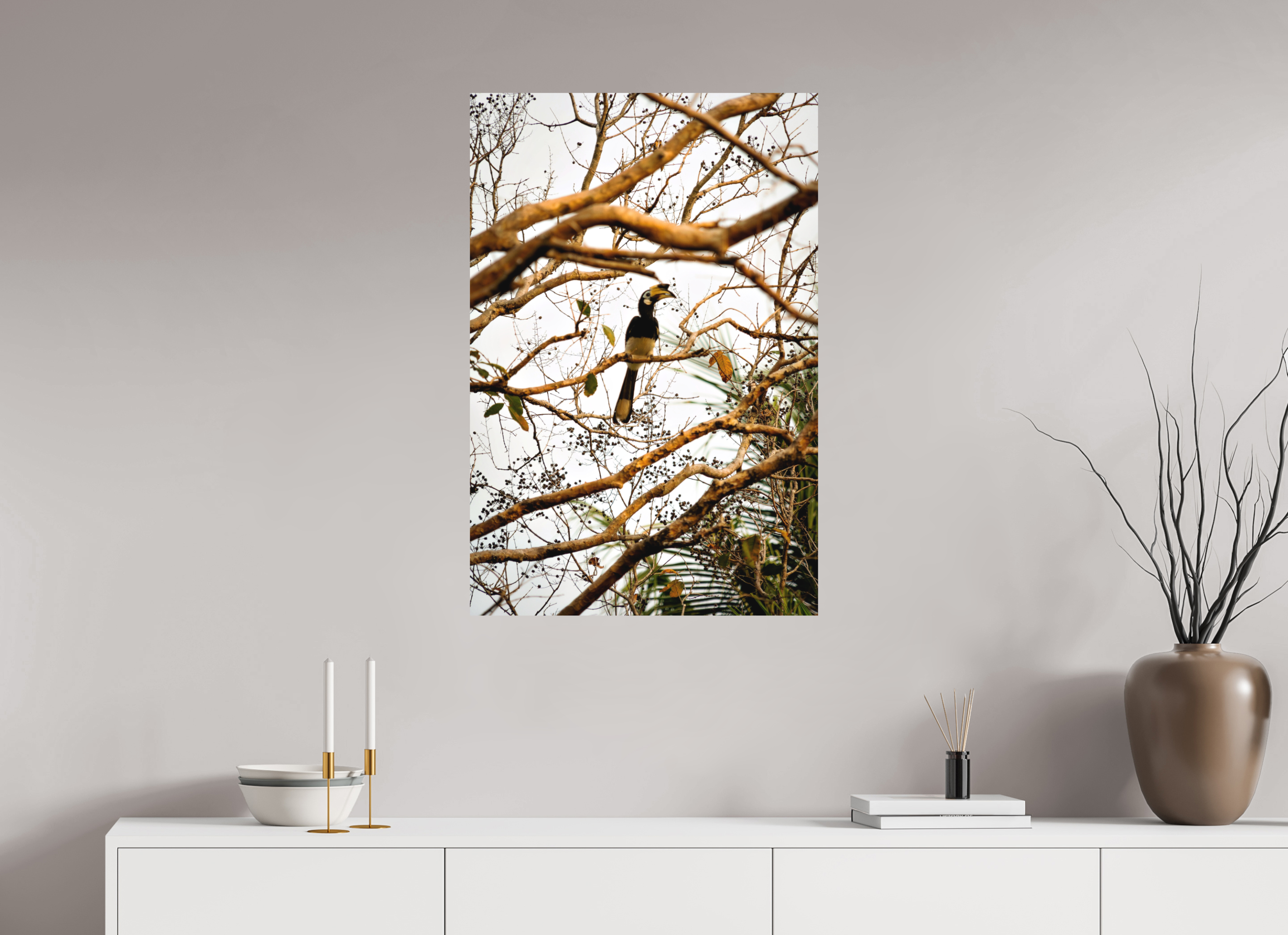60 x 90 cm, Fine Art Print Smooth Hornbill at Rest