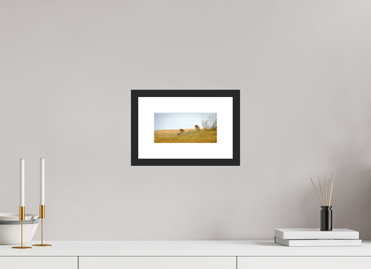 19.8 x 10 cm, Photo Print On Fuji Crystal DP II Matte Cheetah Connection