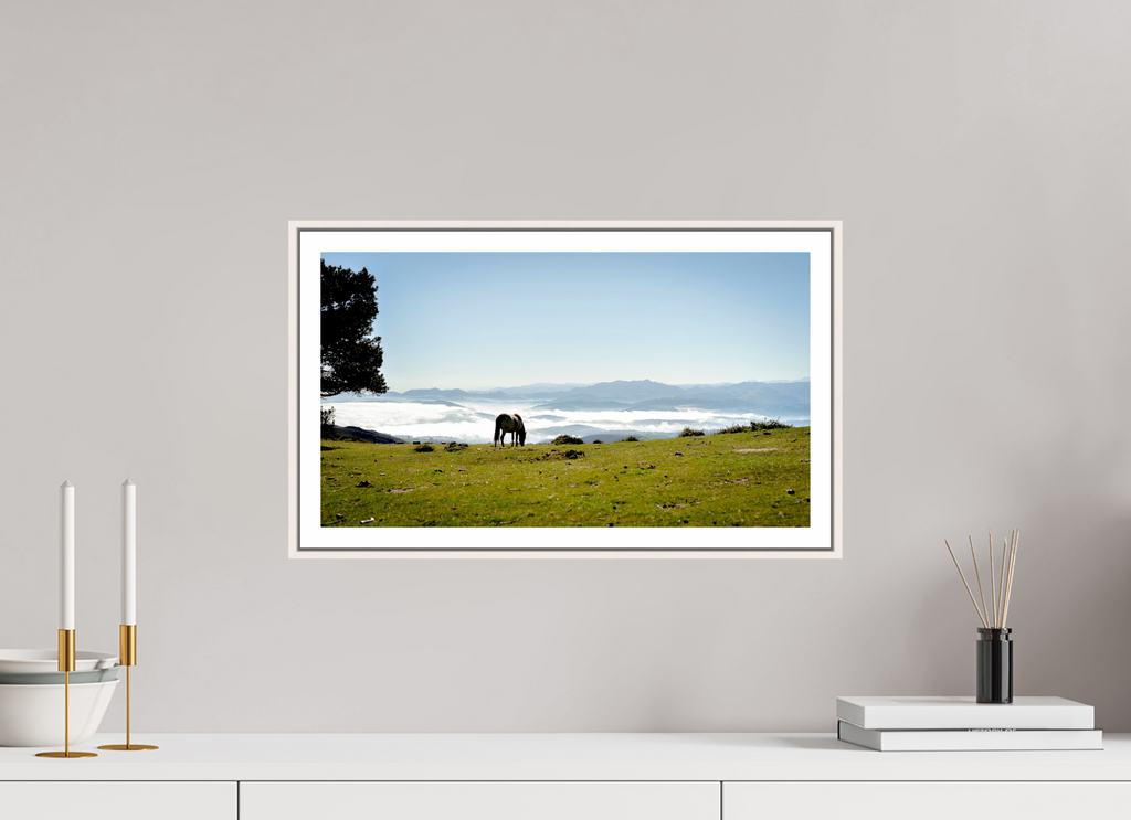 48 x 27 cm, Fine Art Print On Framed Aluminum Dibond A Horse with a View - Spain